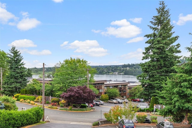17440 NE 38th St Unit A302, Redmond, WA 98052 - water view