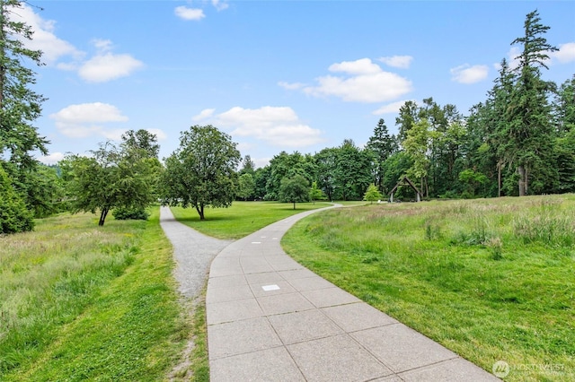 17440 NE 38th St Unit A302, Redmond, WA 98052 - view of home's community with a forest view