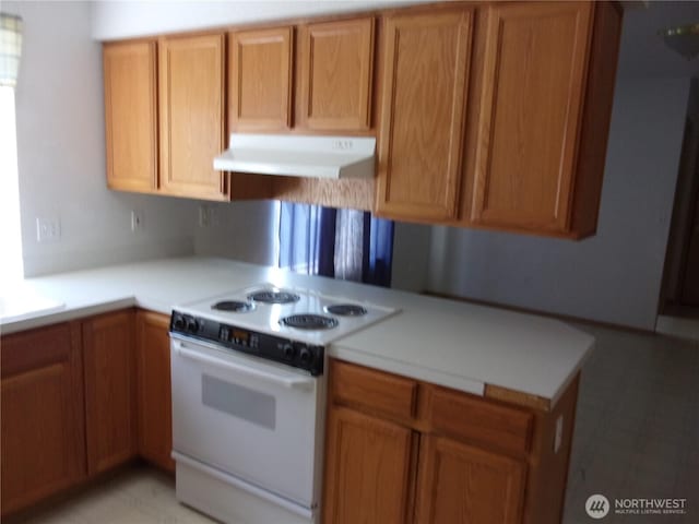 10326 3rd St SE, Yelm, WA 98597 - photo 13