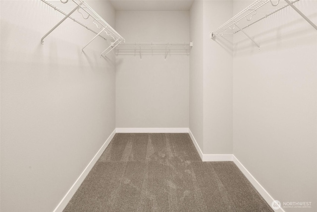 8116 131st Pl SE Unit 16, Snohomish, WA 98296 - walk in closet featuring carpet