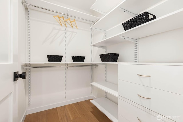 5613 43rd Ave NE, Seattle, WA 98105 - spacious closet with light wood-style flooring