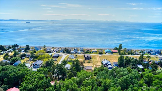 669 Marine Dr, Point Roberts, WA 98281 - aerial view of residential area