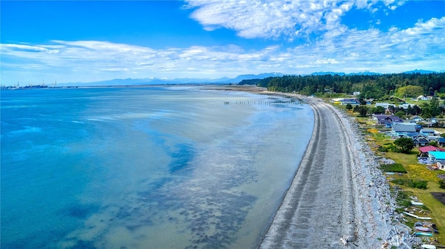 669 Marine Dr, Point Roberts, WA 98281 - water view with mountains