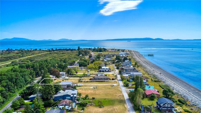 669 Marine Dr, Point Roberts, WA 98281 - bird's eye view of a water and mountain view