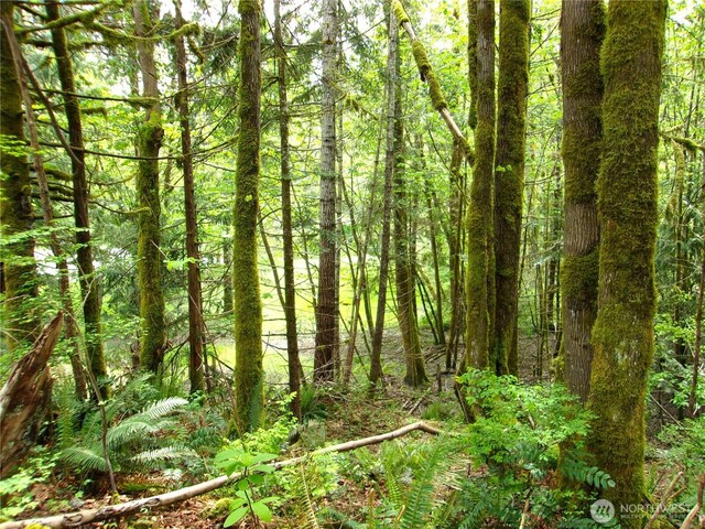 0 River Rd, Brinnon, WA 98320 - photo 3