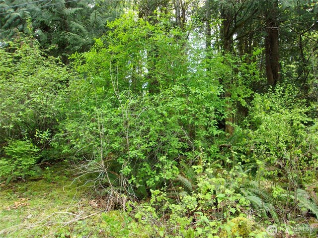 0 River Rd, Brinnon, WA 98320 - photo 5