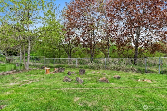 2838 SW 106th St, Seattle, WA 98146 - view of yard
