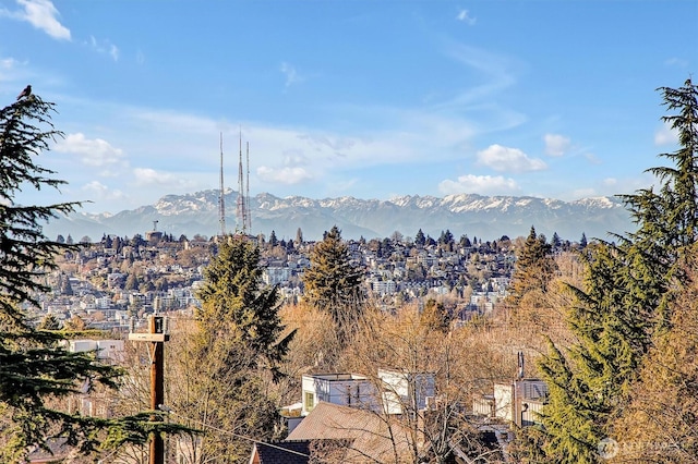 1225 E Roy St, Seattle, WA 98102 - view of mountain backdrop