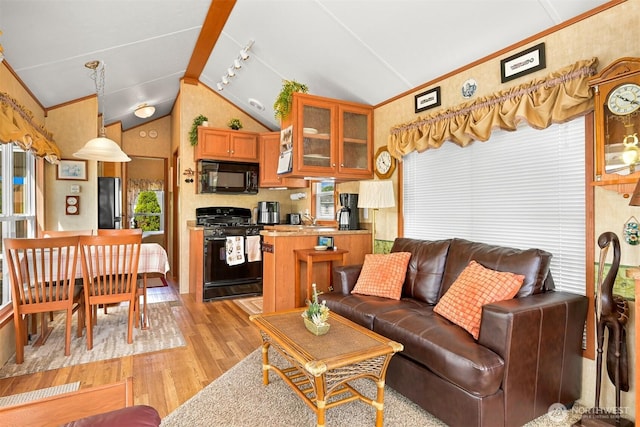4751 Birch Bay Lynden Rd Unit 32, Blaine, WA 98230 - living area with lofted ceiling and light wood-type flooring