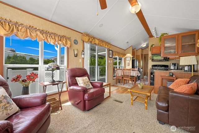 4751 Birch Bay Lynden Rd Unit 32, Blaine, WA 98230 - living area with lofted ceiling, light wood finished floors, and ceiling fan