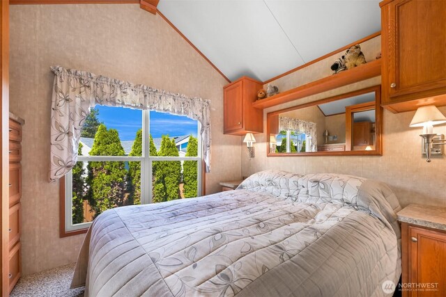 4751 Birch Bay Lynden Rd Unit 32, Blaine, WA 98230 - carpeted bedroom with lofted ceiling and multiple windows