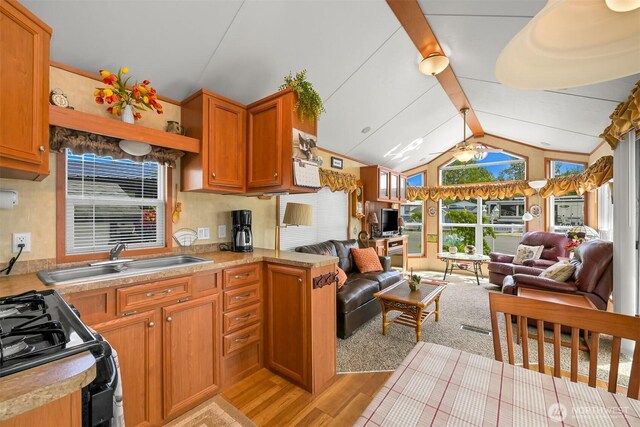 4751 Birch Bay Lynden Rd Unit 32, Blaine, WA 98230 - kitchen featuring open floor plan, light wood-style flooring, a sink, black gas range, and light countertops