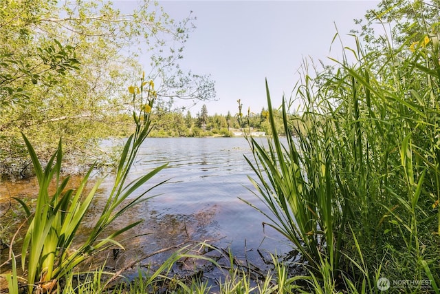 4662 SE Inwood Ln, Port Orchard, WA 98367 - water view