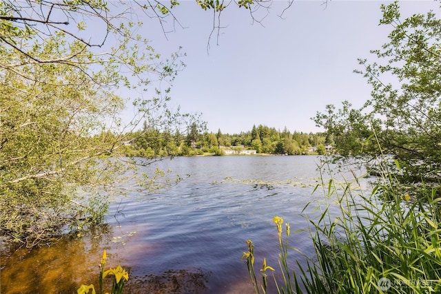 4662 SE Inwood Ln, Port Orchard, WA 98367 - water view