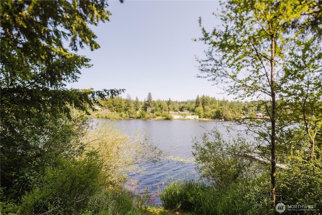 4662 SE Inwood Ln, Port Orchard, WA 98367 - water view with a heavily wooded area
