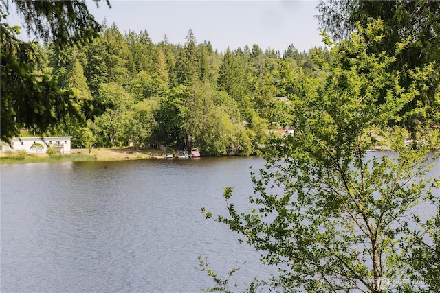 4662 SE Inwood Ln, Port Orchard, WA 98367 - water view with a heavily wooded area