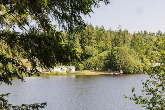 4662 SE Inwood Ln, Port Orchard, WA 98367 - water view