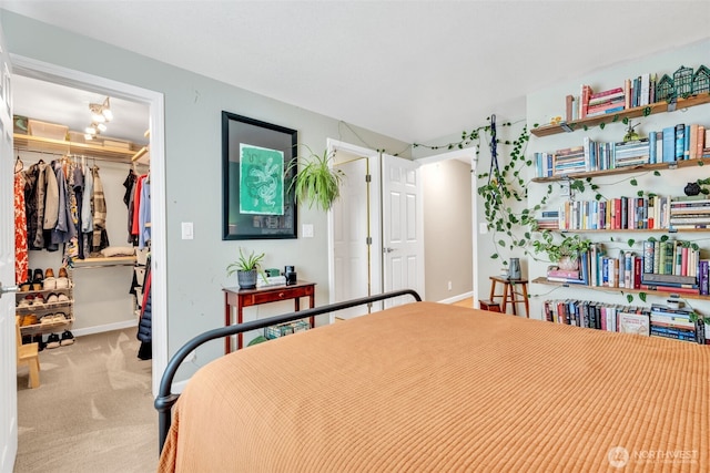 4231 NE 5th St Unit E101, Renton, WA 98059 - bedroom featuring a spacious closet, a closet, and light colored carpet