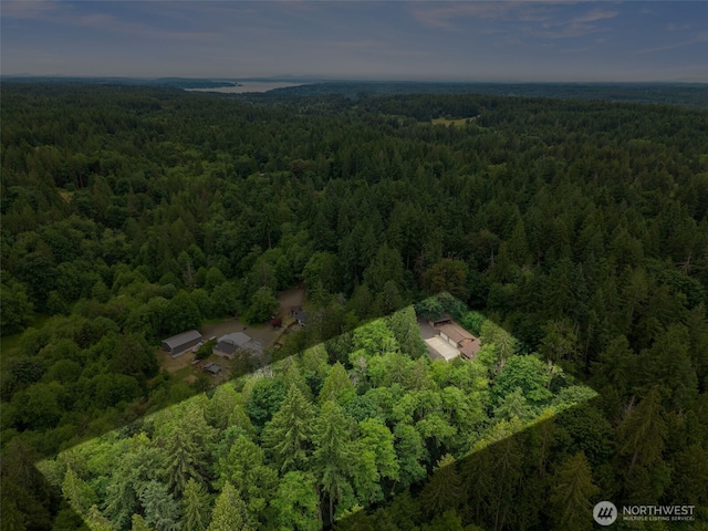 4562 SE Burley Olalla Rd, Olalla, WA 98359 - aerial view of property and surrounding area featuring a forest