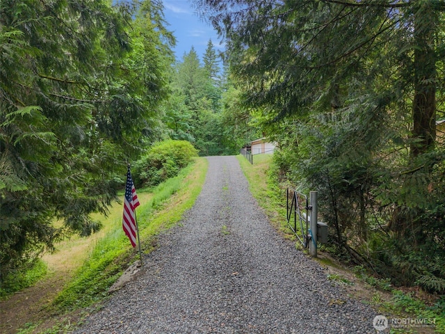 4562 SE Burley Olalla Rd, Olalla, WA 98359 - view of dirt / gravel driveway with a view of trees