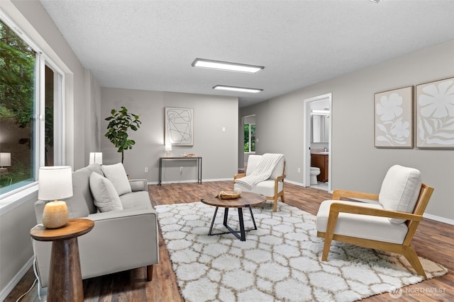 4562 SE Burley Olalla Rd, Olalla, WA 98359 - living room featuring wood finished floors, healthy amount of natural light, a textured ceiling, and baseboards