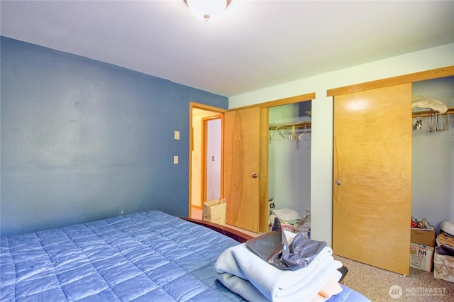 17147 Hope Island Ln, La Conner, WA 98257 - bedroom featuring multiple closets and carpet