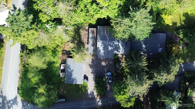 17147 Hope Island Ln, La Conner, WA 98257 - aerial view