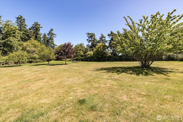 1440 Allyn Ln, Oak Harbor, WA 98277 - view of yard