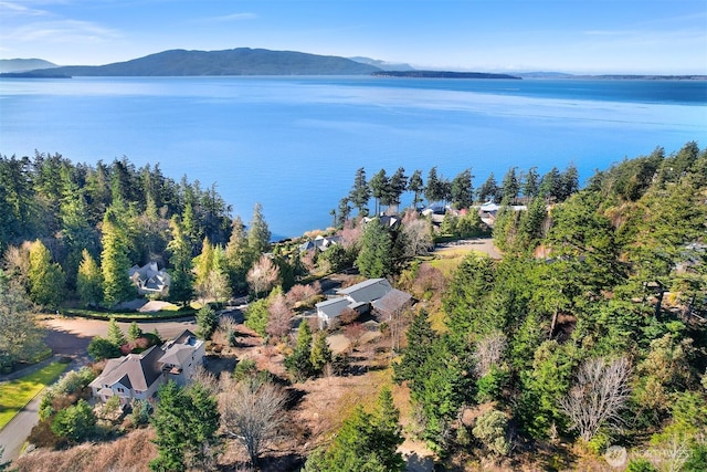 405 Arbutus Pl, Bellingham, WA 98225