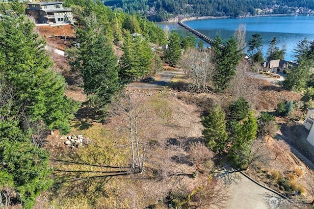 405 Arbutus Pl, Bellingham, WA 98225