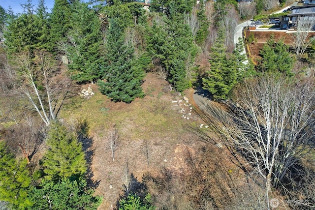 405 Arbutus Pl, Bellingham, WA 98225