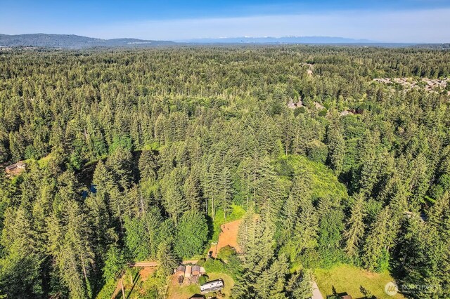 2601 270th Ave SE, Issaquah, WA 98029 - photo 4