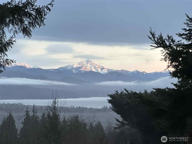 521 E Enchantment Dr, Union, WA 98592 - mountain view featuring a large body of water