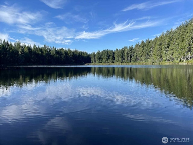 521 E Enchantment Dr, Union, WA 98592 - water view with a heavily wooded area