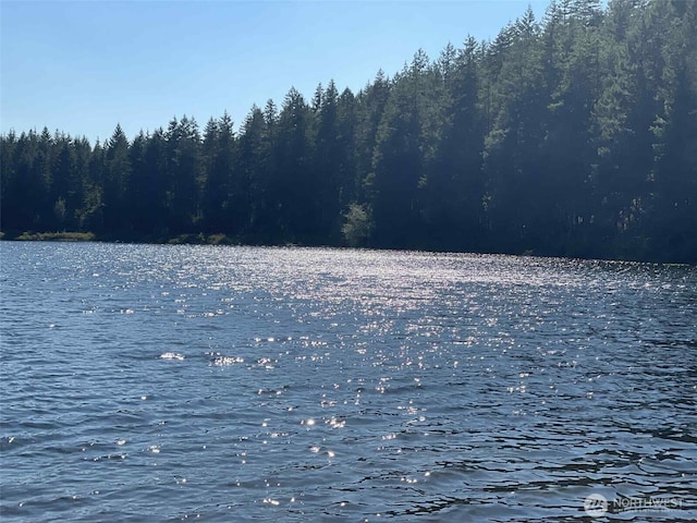 521 E Enchantment Dr, Union, WA 98592 - water view with a heavily wooded area