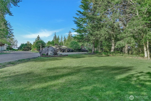 521 E Enchantment Dr, Union, WA 98592 - view of green lawn