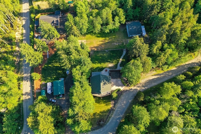 521 E Enchantment Dr, Union, WA 98592 - drone / aerial view