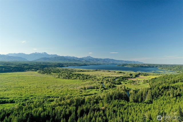 521 E Enchantment Dr, Union, WA 98592 - view of mountain background