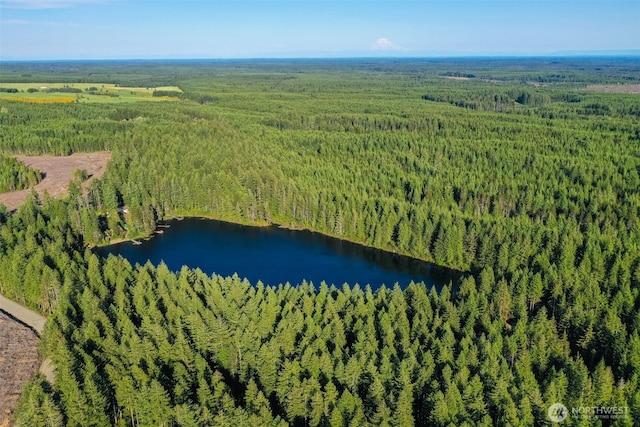 521 E Enchantment Dr, Union, WA 98592 - aerial view of a forest and a nearby body of water