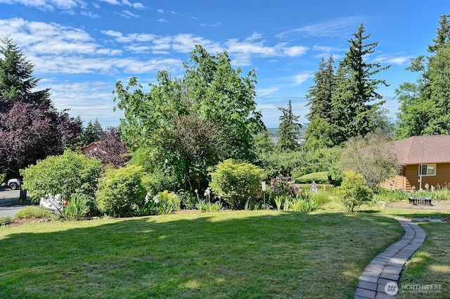 1160 St Paul St, Bellingham, WA 98229 - view of green lawn