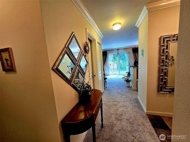 31500 33rd Pl SW Unit H101, Federal Way, WA 98023 - hall with ornamental molding, carpet floors, and a textured wall