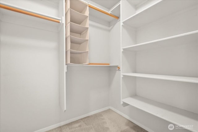 9008 NE 54th St Unit A3, Vancouver, WA 98662 - walk in closet with carpet floors