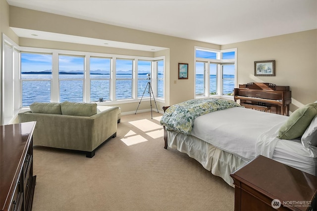 7161 Beach Dr SW, Seattle, WA 98136 - photo 16
