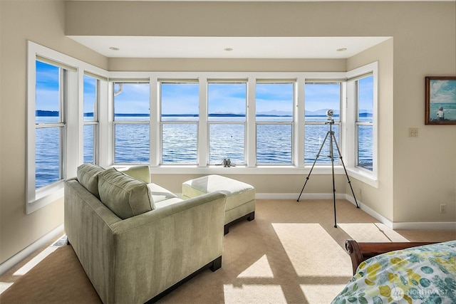 7161 Beach Dr SW, Seattle, WA 98136 - photo 17