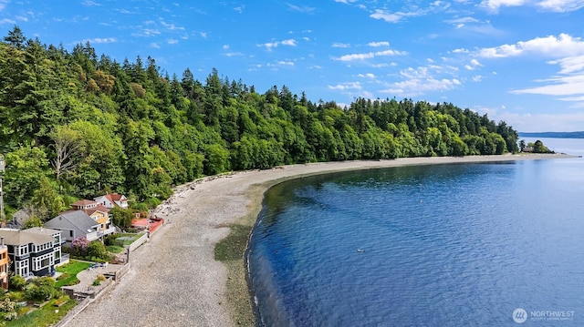 7161 Beach Dr SW, Seattle, WA 98136 - photo 33