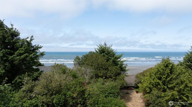 24 Nancy Ln, Copalis Beach, WA 98535 - water view