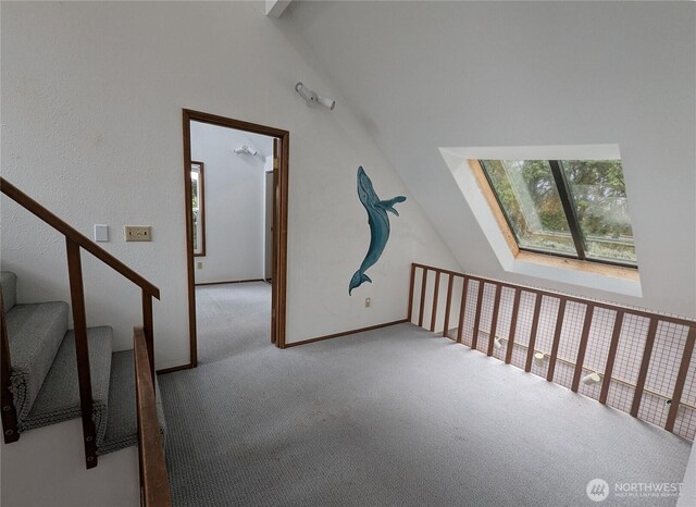 24 Nancy Ln, Copalis Beach, WA 98535 - additional living space featuring a skylight and carpet