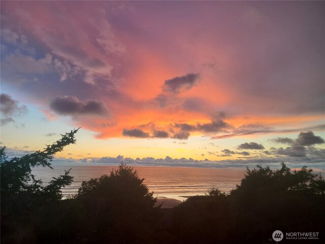 24 Nancy Ln, Copalis Beach, WA 98535 - view of undeveloped land featuring a nearby body of water