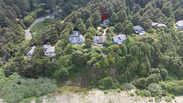 24 Nancy Ln, Copalis Beach, WA 98535 - aerial view of property's location with a heavily wooded area