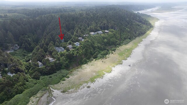 24 Nancy Ln, Copalis Beach, WA 98535 - bird's eye view of a heavily wooded area and a large body of water